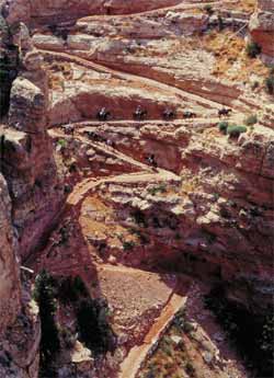 The Bright Angel Trail, Grand Canyon